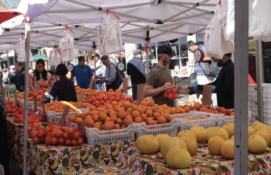 The+bustling+farmers+market+scene+in+Campbell.